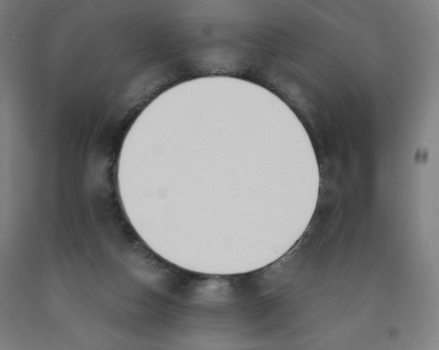 X0000091860162200709261302