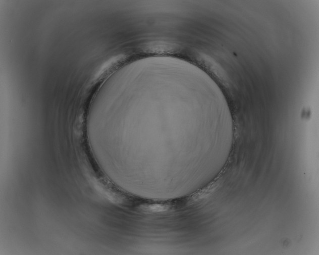 X0000091860163200709261302