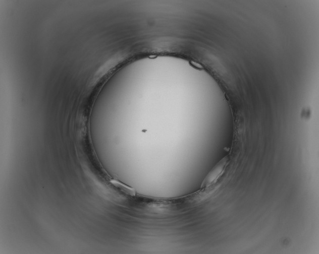 X0000091860164200709261302