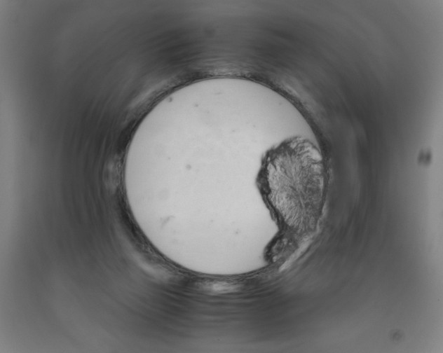 X0000091860165200709261302