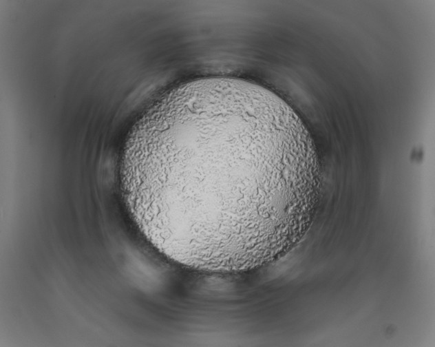 X0000091860166200709261302