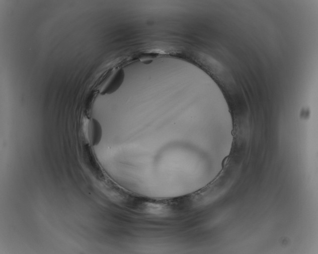 X0000091860167200709261302