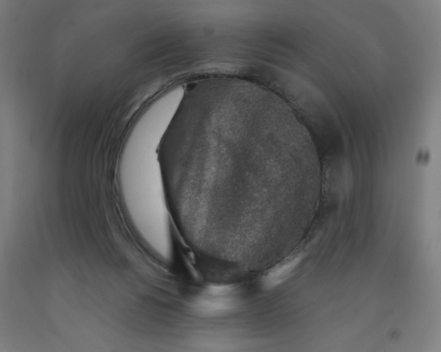 X0000091860168200709261302