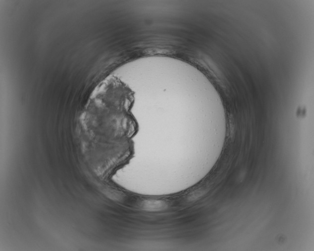 X0000091860169200709261302