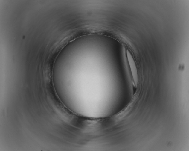 X0000091860170200709261302