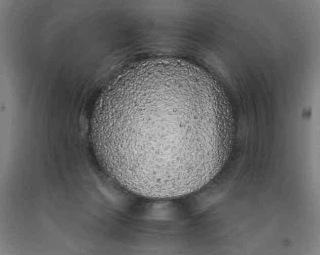 X0000091860173200709261302