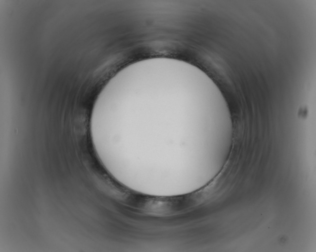 X0000091860174200709261302