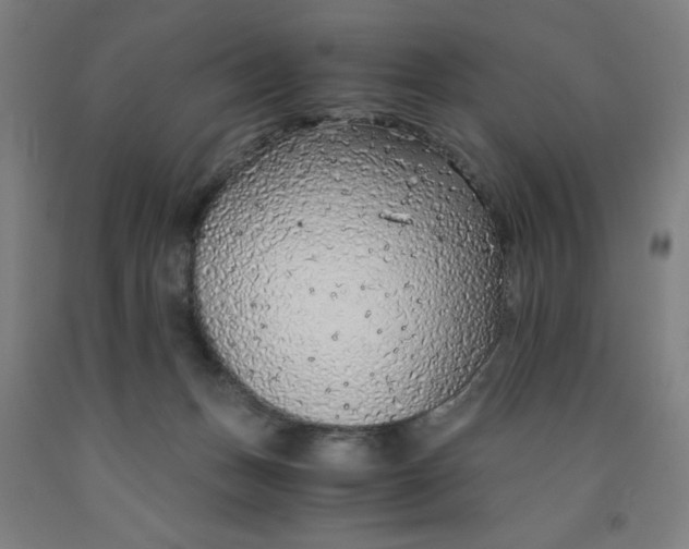 X0000091860175200709261302