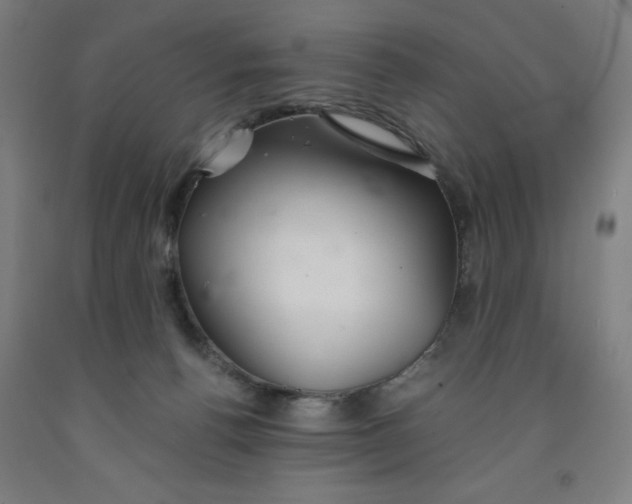 X0000091860176200709261302