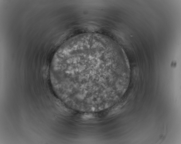 X0000091860177200709261302