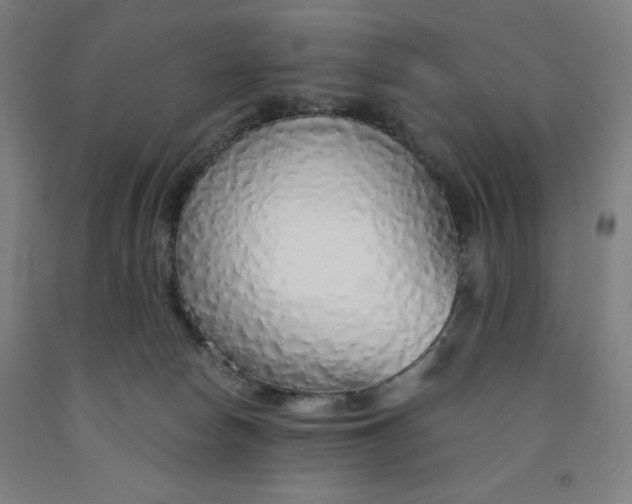 X0000091860178200709261302