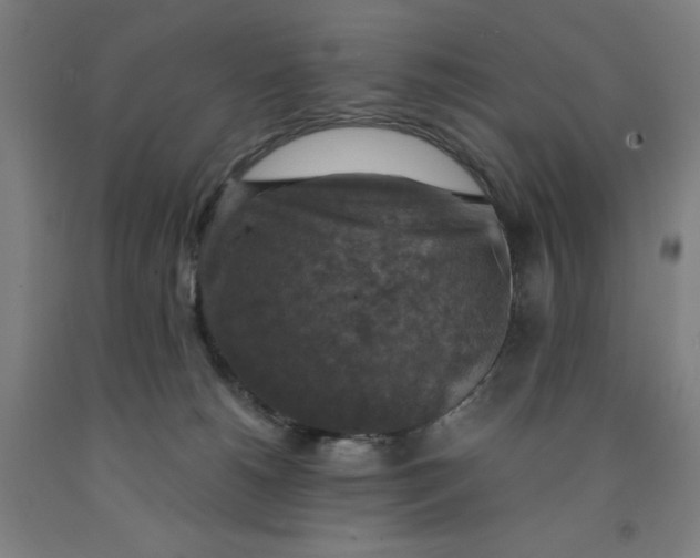 X0000091860180200709261302