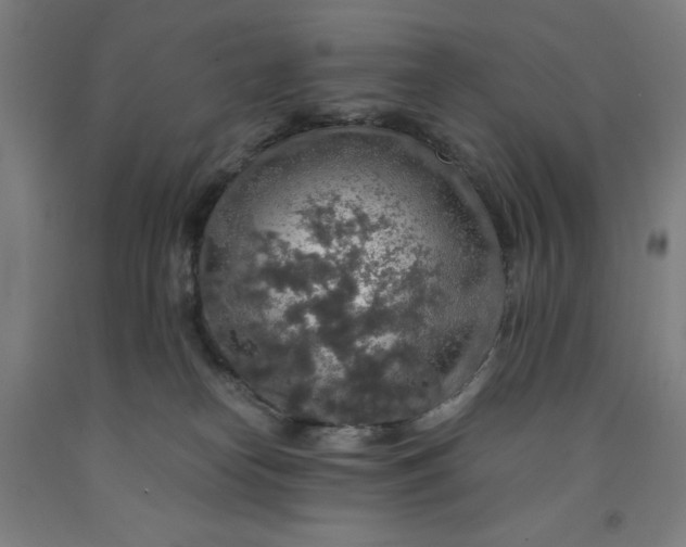 X0000091860182200709261302