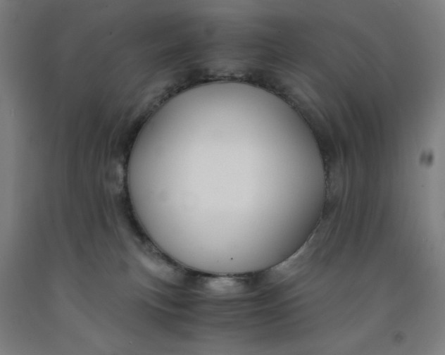 X0000091860183200709261302