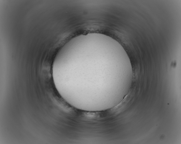 X0000091860187200709261302