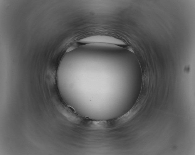 X0000091860188200709261302