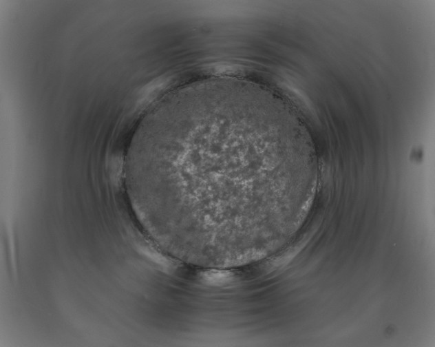 X0000091860189200709261302