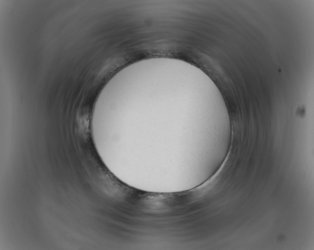 X0000091860190200709261302