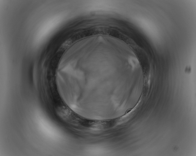 X0000091860191200709261302