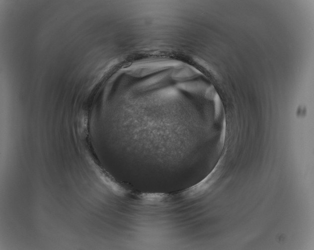 X0000091860192200709261302