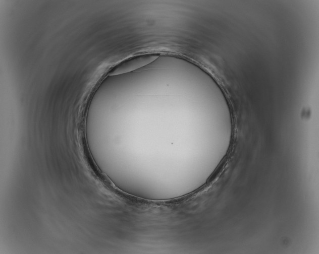 X0000091860193200709261301