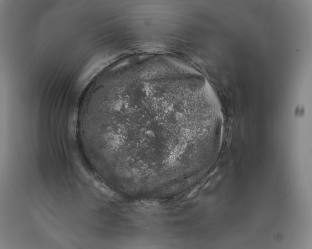 X0000091860194200709261301