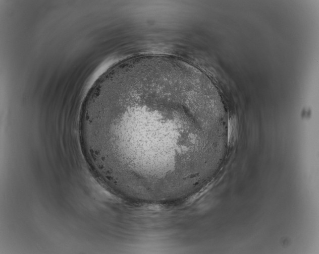 X0000091860195200709261301