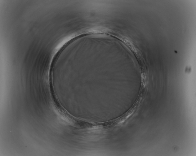 X0000091860196200709261301