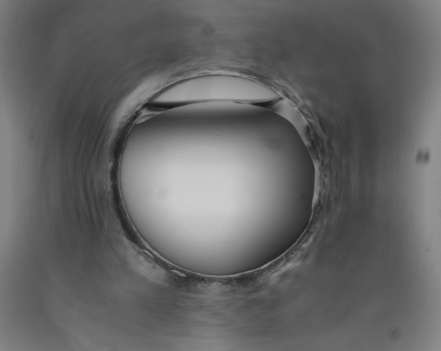 X0000091860197200709261301