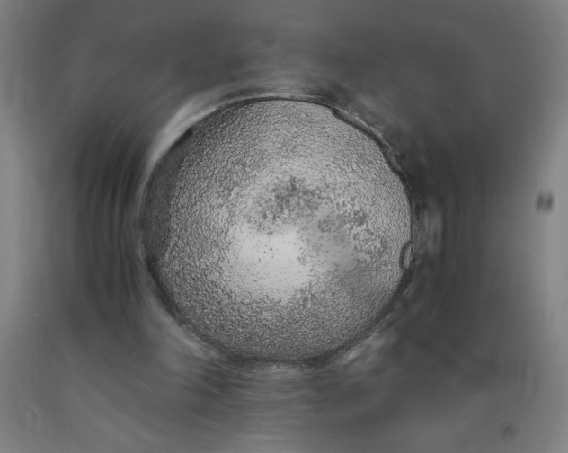 X0000091860198200709261301