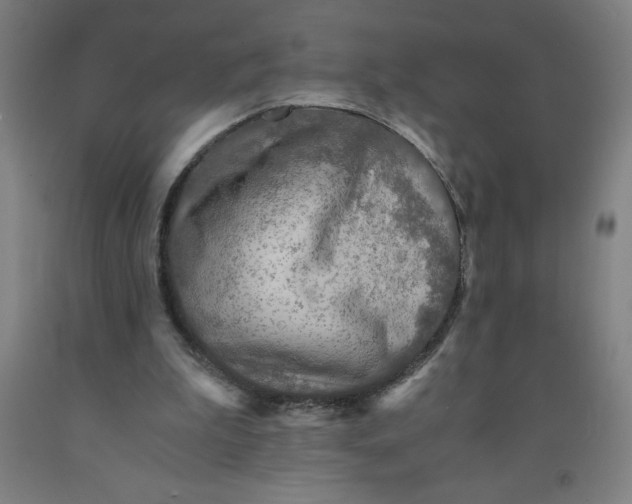 X0000091860199200709261301