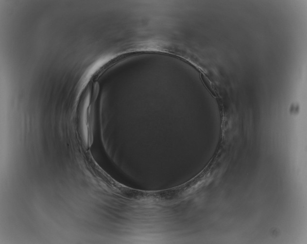 X0000091860200200709261301