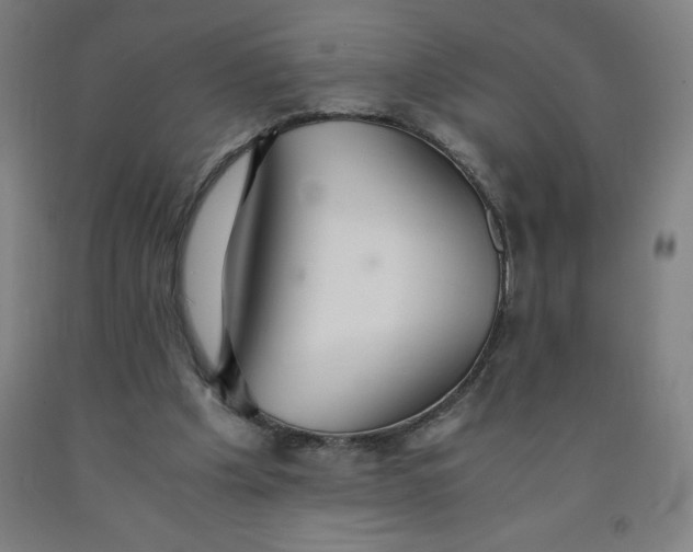 X0000091860201200709261301