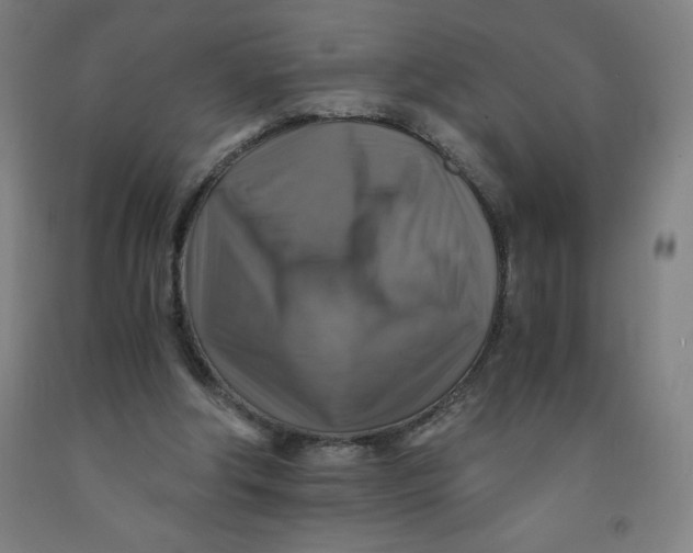 X0000091860202200709261301