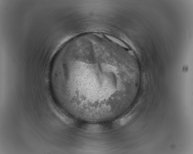 X0000091860203200709261301