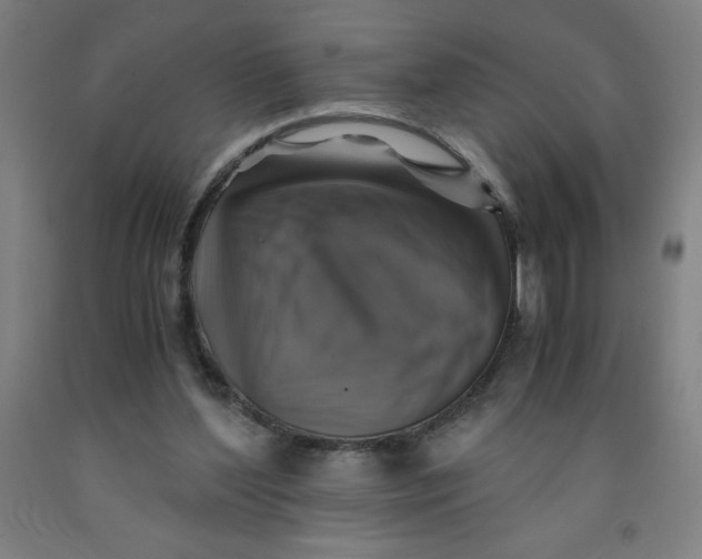 X0000091860204200709261301