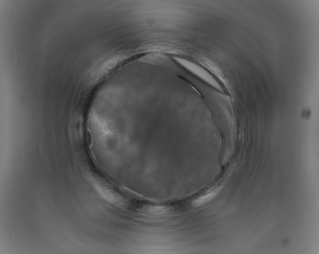 X0000091860205200709261301