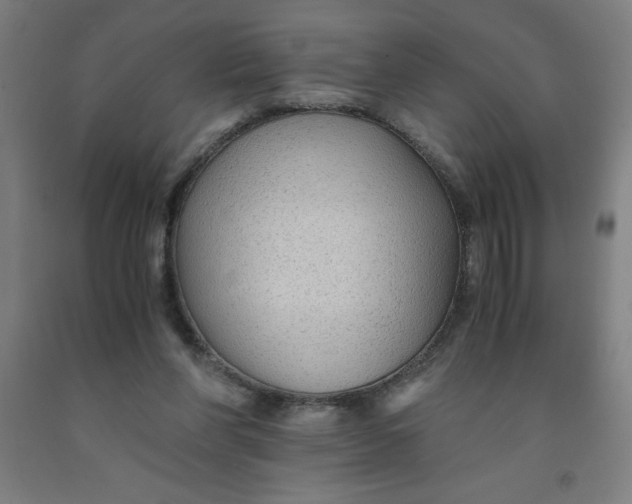 X0000091860206200709261301