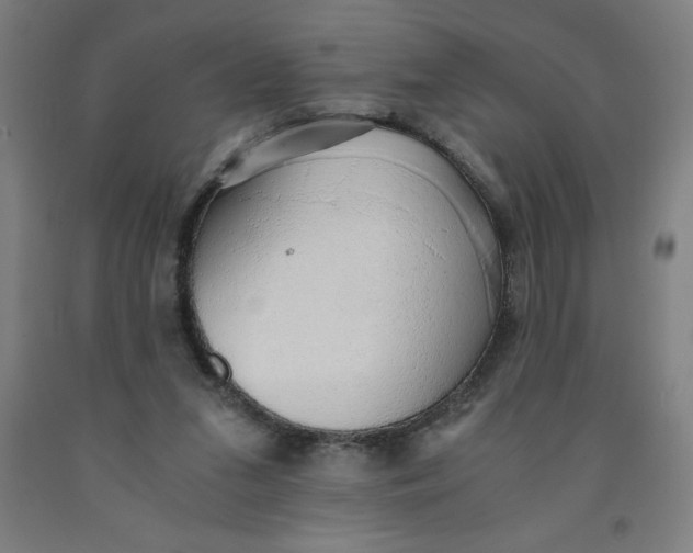 X0000091860207200709261301