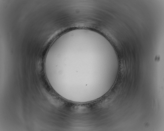 X0000091860208200709261301