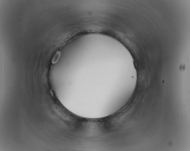 X0000091860209200709261301