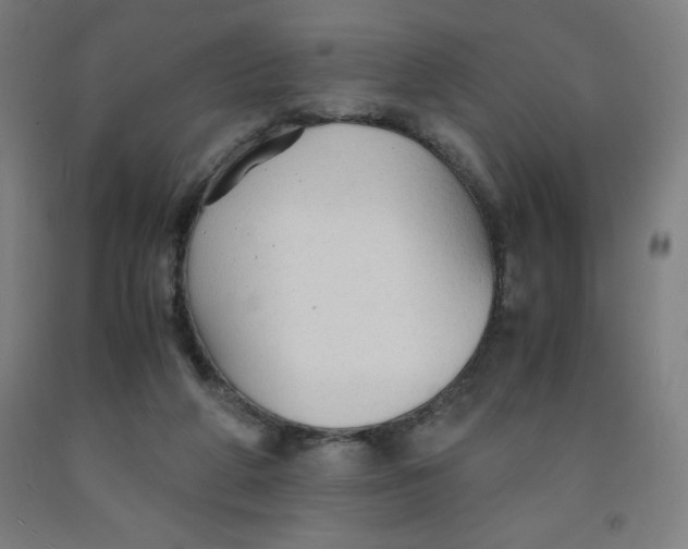 X0000091860210200709261301