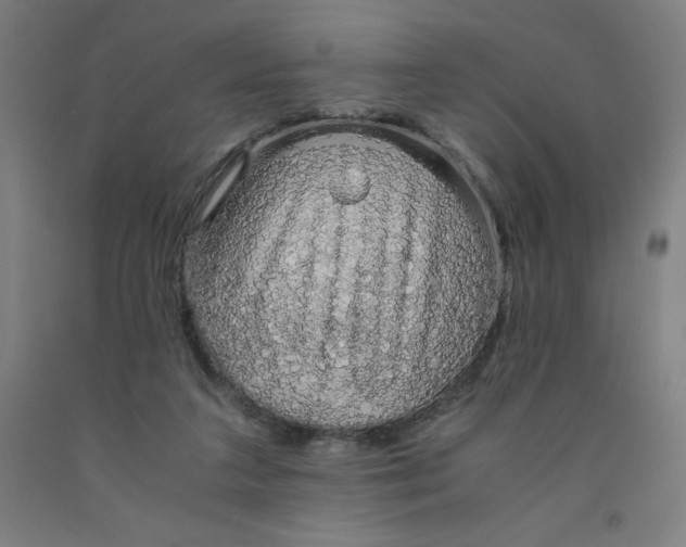 X0000091860211200709261301