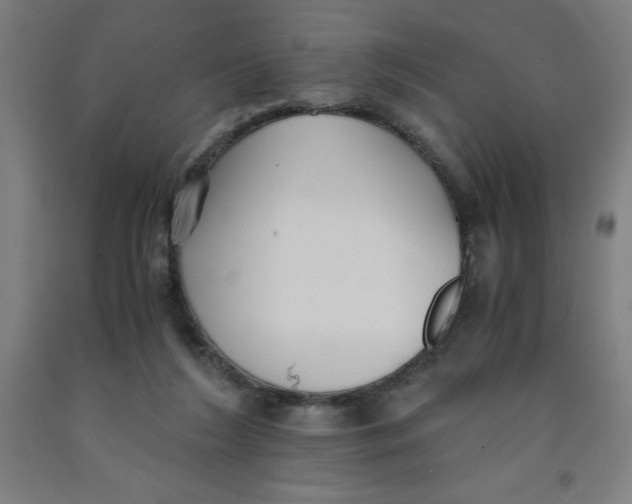 X0000091860212200709261301