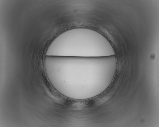 X0000091860213200709261301