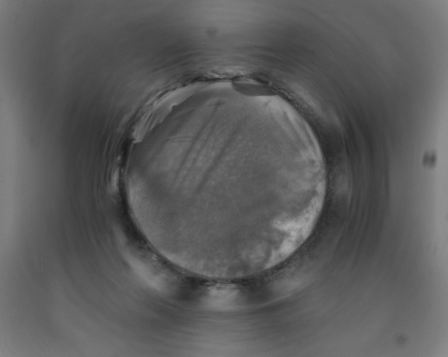 X0000091860214200709261301