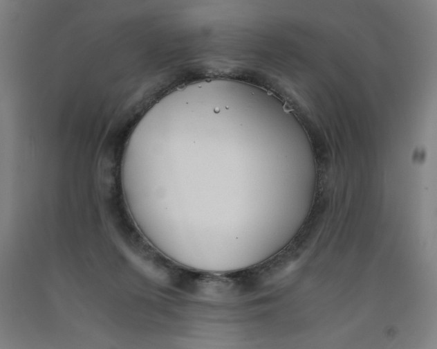 X0000091860215200709261301