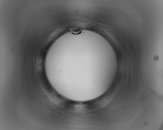 X0000091860216200709261301