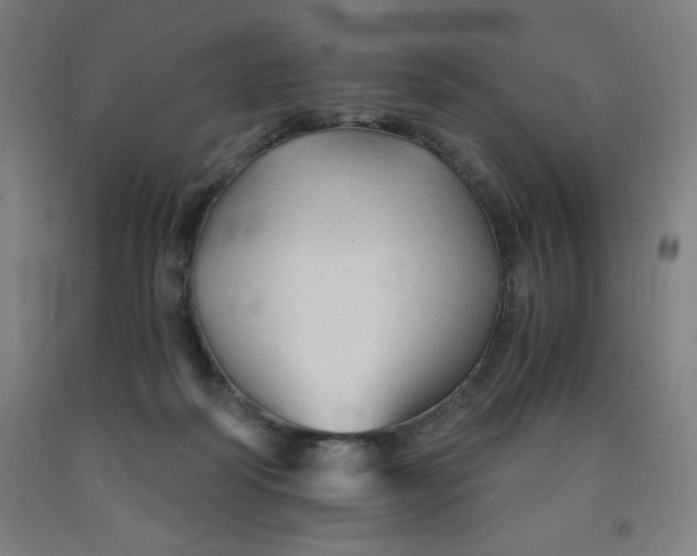 X0000091860218200709261301