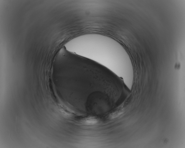 X0000091860219200709261301